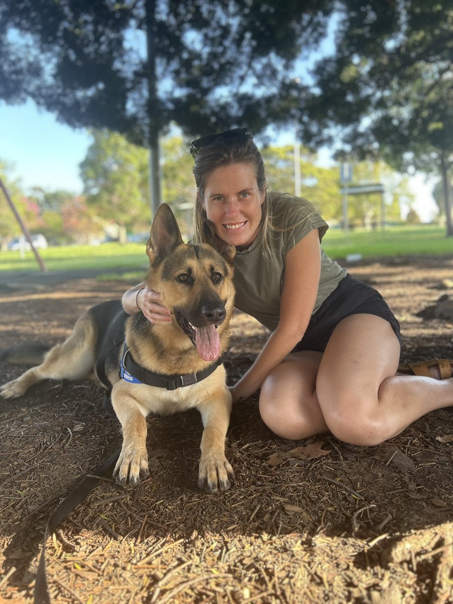 HappyLittleHea2's tweet photo. Life update: 

Sadly, my partner’s friend was hit by a car last week and has debilitating injuries. It has been just awful. 

But we have adopted his beautiful German Shepherd and can't wait to give it all the love in the world. https://t.co/rSnvUtP5D2