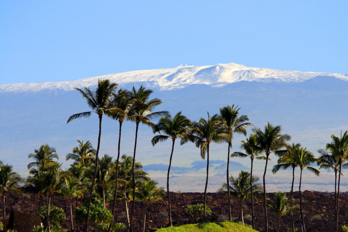 RandomStuffHQ's tweet image. Did you know that the tallest mountain on Earth isn’t Mount Everest? It’s actually Mauna Kea, a dormant volcano in Hawaii, when measured from its underwater base to its summit, making it a staggering 33,500 feet tall! #FunFact #Science #Hawaii