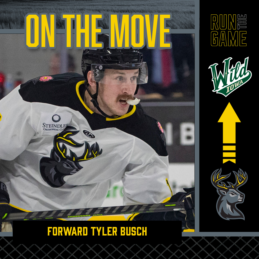 Congrats to forward Tyler Busch! He's earned his first AHL call-up of the season, signing a PTO with <a href="/IAWild/">Iowa Wild</a>