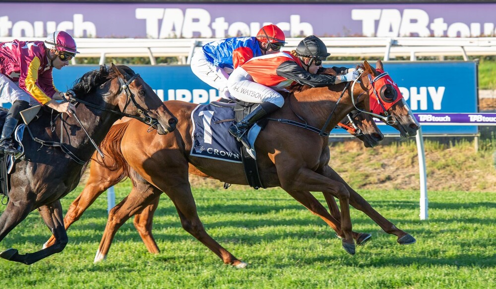 Simon Miller Racing tweet media