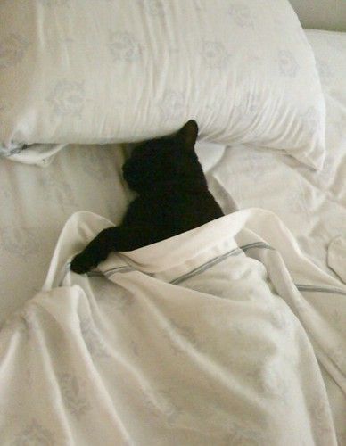 exhausted