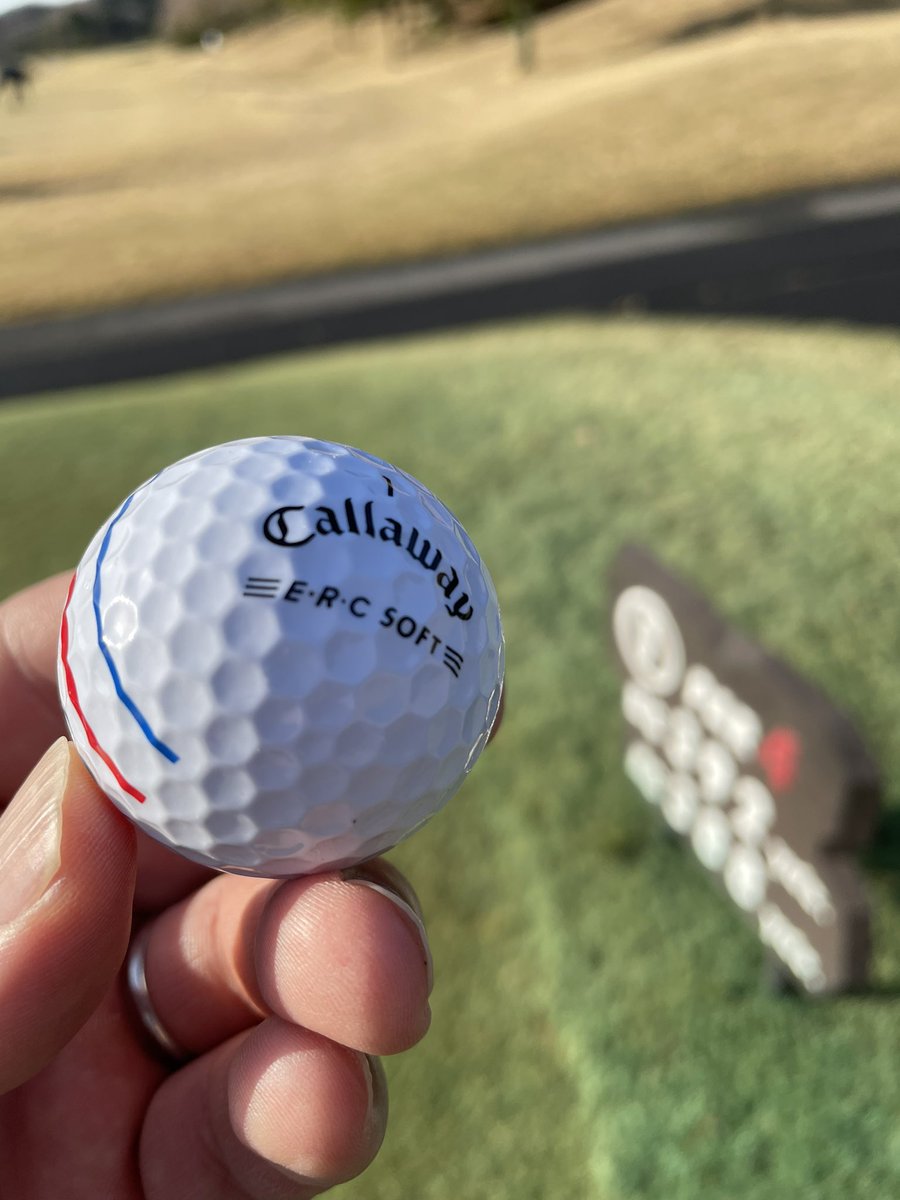fz1070g's tweet photo. せやねん、飛ぶねん!
#callaway
#ERCSOFT https://t.co/8LTkw1WCy8