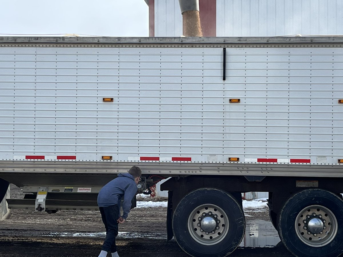 cpfarmsltd's tweet photo. “Learn by doing” youngest son learning how to properly load a grain trailer. @MPCommodities . @MackTrucks #autoshift for the win here haha. https://t.co/EXaoicsd6X