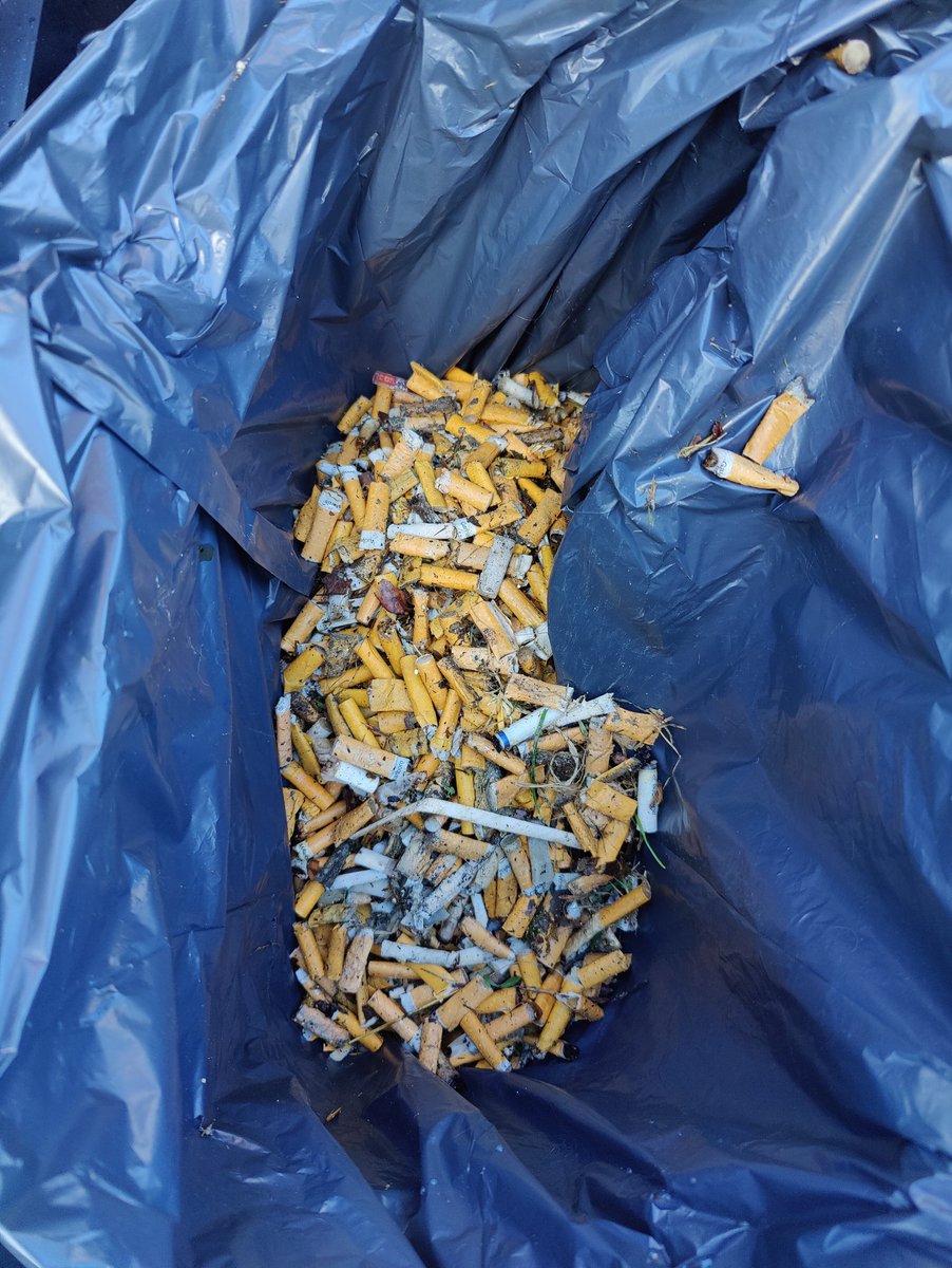 Un soleil de printemps pour éclairer le kleanwalk d'aujourd'hui. 
Des kleaners impliqués à fond et 22 000 mégots collectés.
Rejoignez Weklean. 
@WeKlean_eu