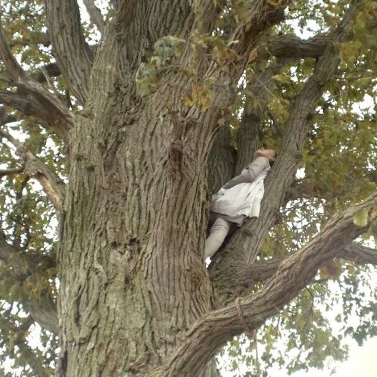 maddiewithane_'s tweet photo. please picture me in the trees https://t.co/DEGinDDuFf