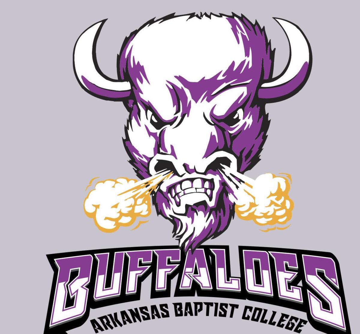 Djkines2's tweet photo. After a great conversation and visit with @coachbailey_abc I’m excited to announce that i’m 110% Commited to Arkansas Baptist 🦬@coachlavonmeeks @coachmedleyfla @Coach_VellMeeks @aye_coachlawson Buffs up!💜 https://t.co/N6nTFbEyaw