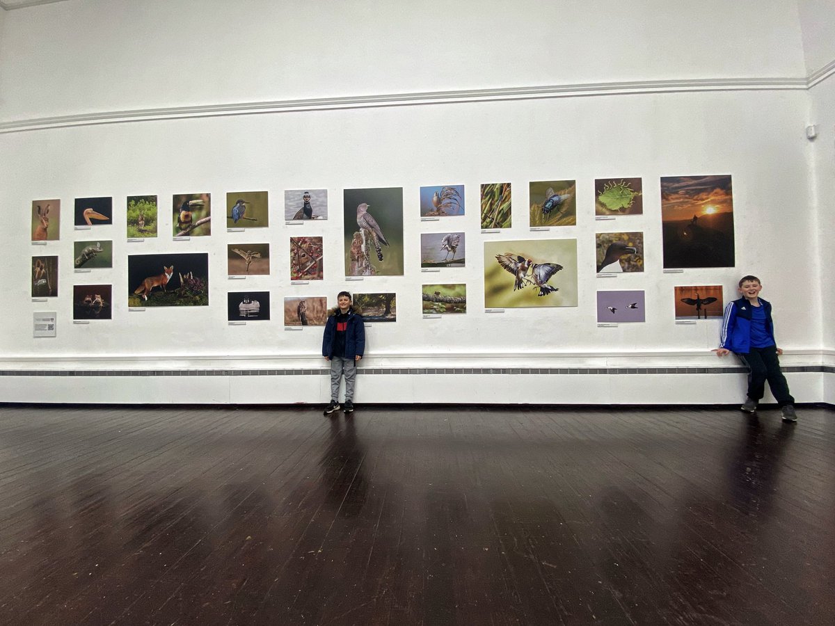 GemmaDC2's tweet photo. Wonderful wildlife gallery at Litfest 2023 @Litfest https://t.co/m1CYFMkvXN