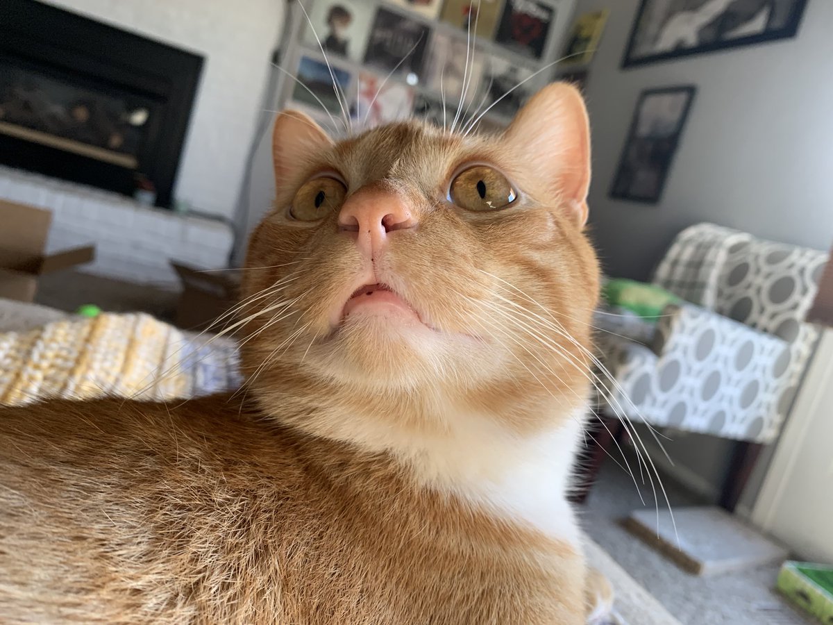 m_goodbar's tweet photo. I would burn cities for this lip freckle https://t.co/87ChR0kokq