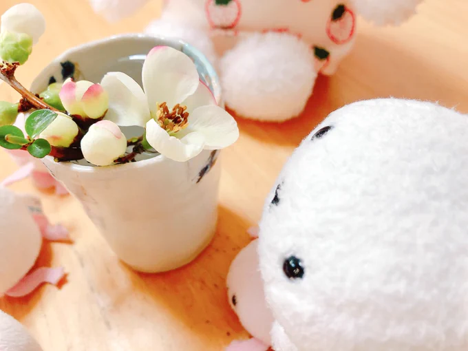 オハヨ- 