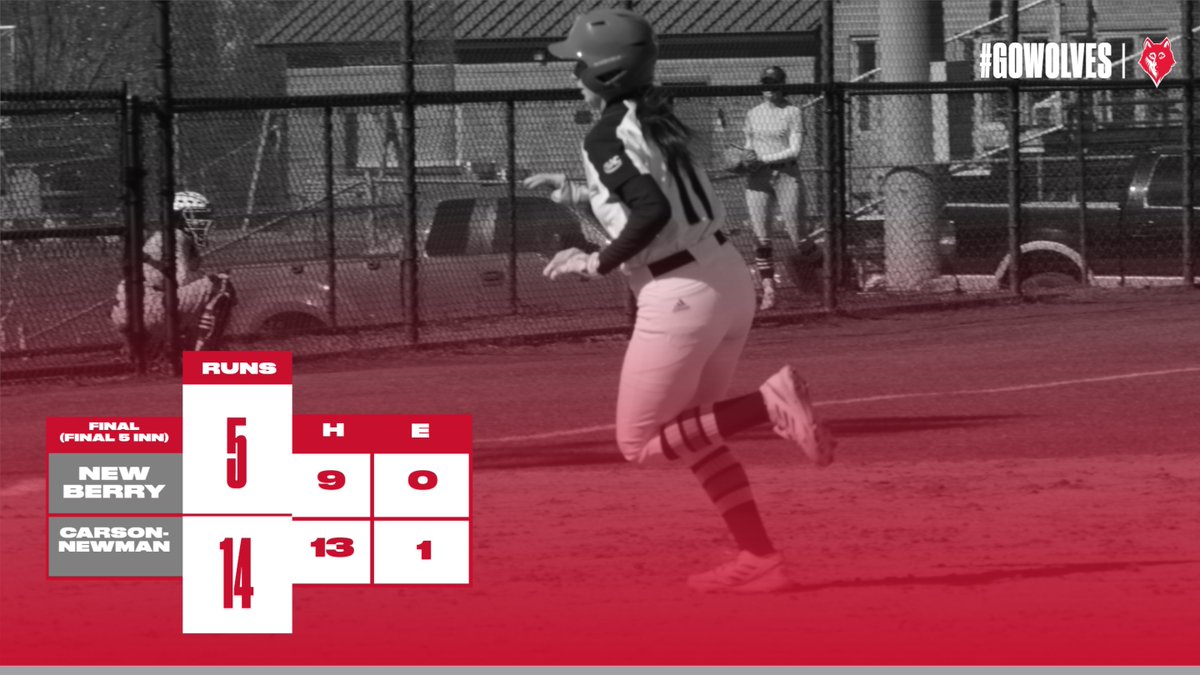 Newberry Wolves tweet media
