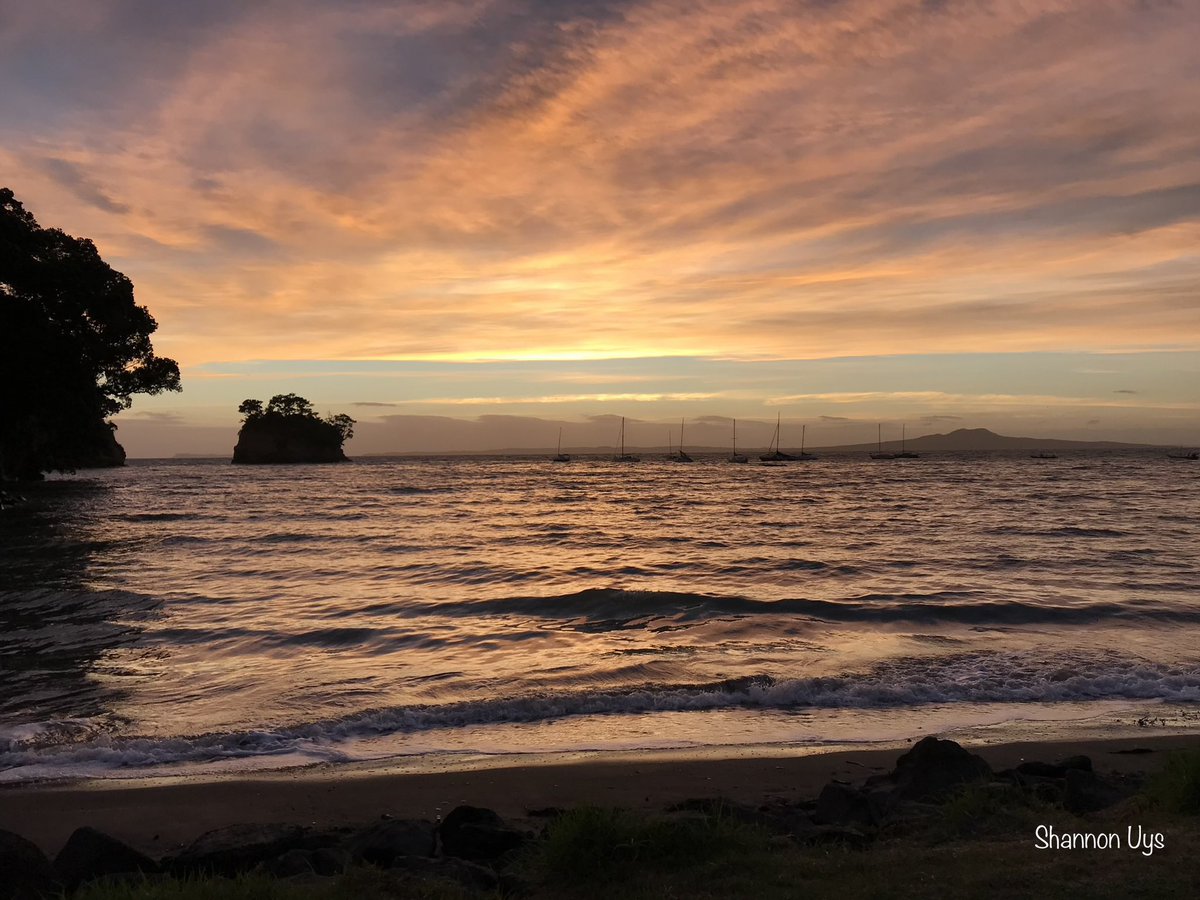 Shanuys's tweet photo. @BraydenCreation Taken Jan 2018 - Auckland, NZ https://t.co/FOsJP2dIPJ