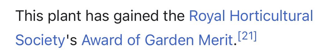 weeplord's tweet photo. Currently obsessed with the concept of this award, like knighting a species of free for being an especially good tree https://t.co/pLz642AbOg