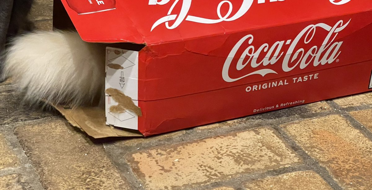 #Cat Law- “5 seconds rule”: If a cat takes possession an empty box within 5 seconds of the box touching the ground, that cat is granted immediate &amp; exclusive ownership of the “property”. 

#Caturday #CatLaw #cats #CatsAreFamily #CatsOfTwitter #CatsOnTwitter #catlife