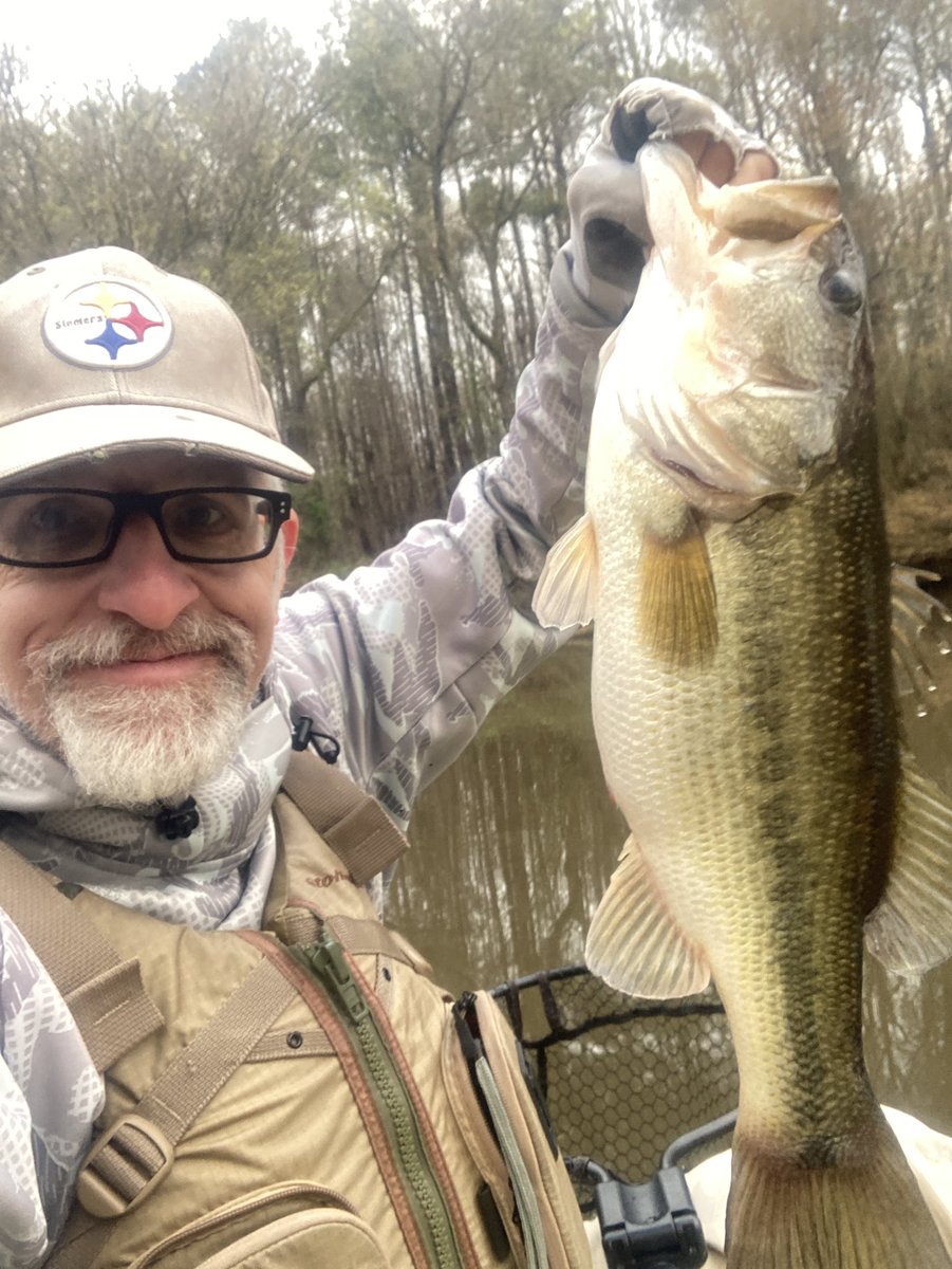 miacalva's tweet photo. I did it! I knew a couple of good bites would put me over the 10k mark on TourneyX but I had no idea my anchor fish would be the one!!! After landing & submitting it, my total length for judged fish was 10,018”.
And I have it all on video!
#kayakfishing #bigbass #CCKF #ketch https://t.co/bhlpy4Vv91