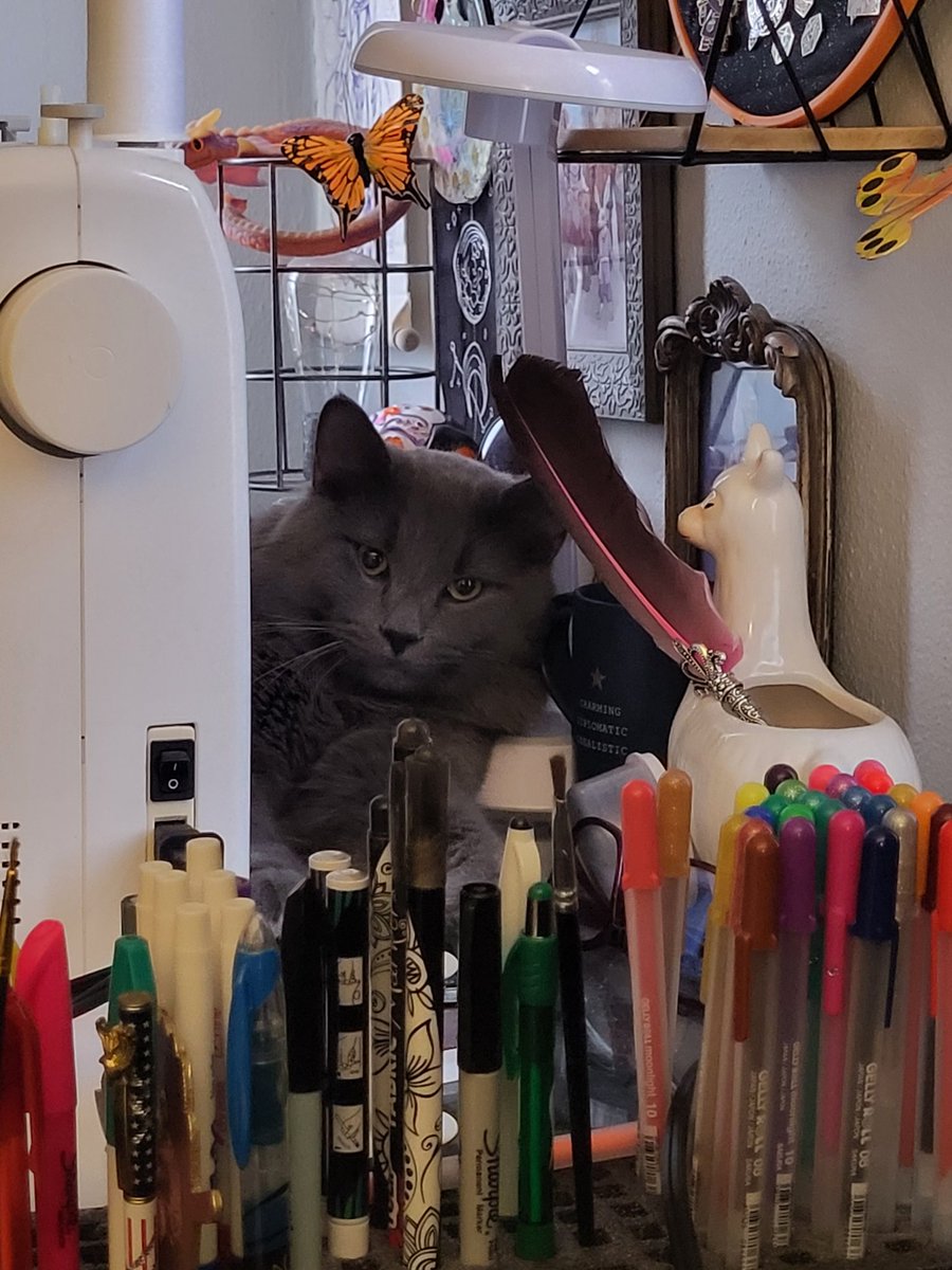 DDena7's tweet photo. @Works_of_whimsy High Lord Flumph agrees https://t.co/unWOfCpqjC