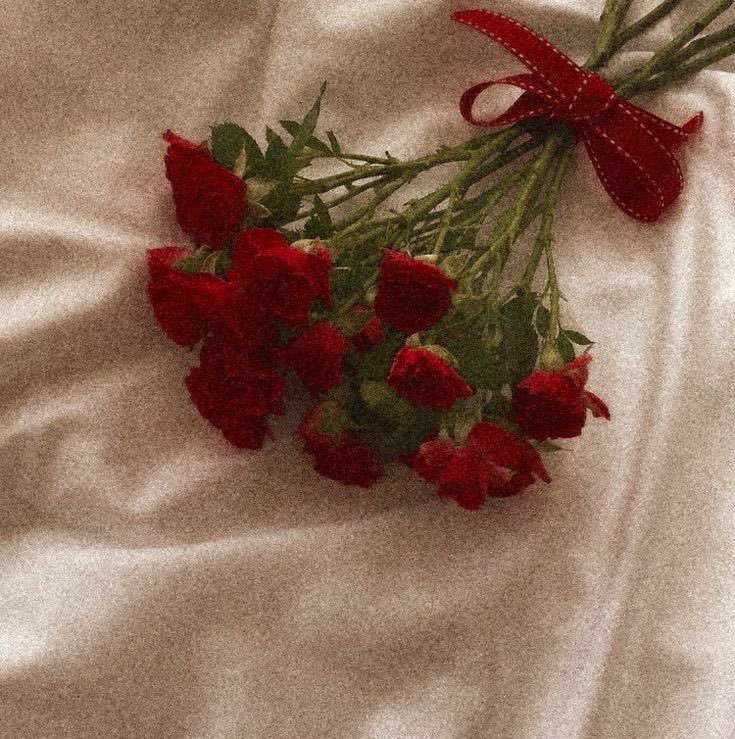 ☁️ 𓈒 𝒱𝒾𝓁𝓁𝒾𝓁𝒾ℯ𝓇 יִ 🎀 tweet media