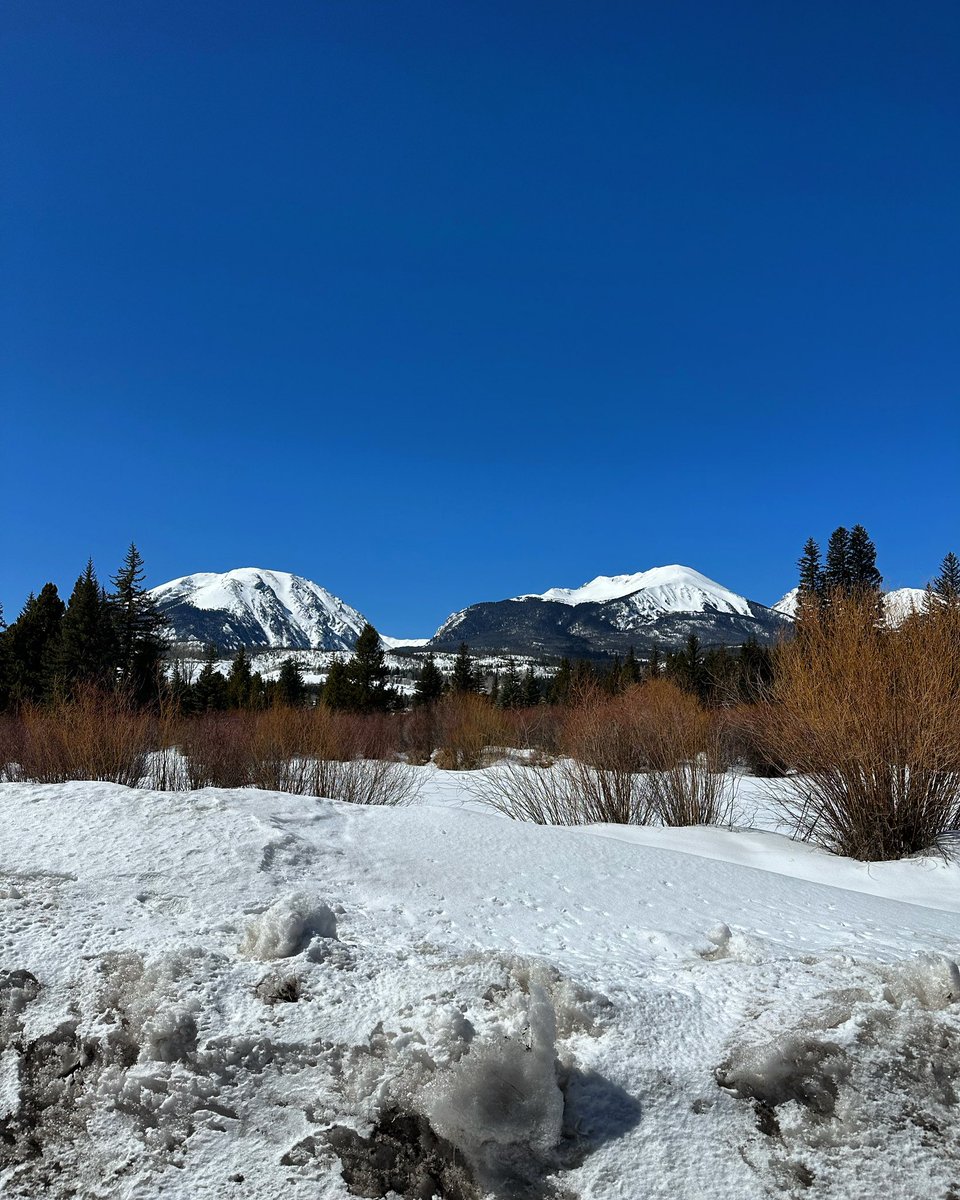 amakatmoss's tweet photo. Beautiful day for a walk…..didn’t feel like 20 degrees…🥶 #blubirdday #mtnlife #coloradoliving https://t.co/174QQ2y45y