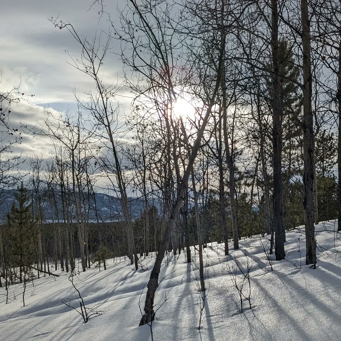 I was doing some snow shoveling in preparation for the star party (March 24 and 25, see yukonastronomy.com/events) and I had to stop to admire the view.
