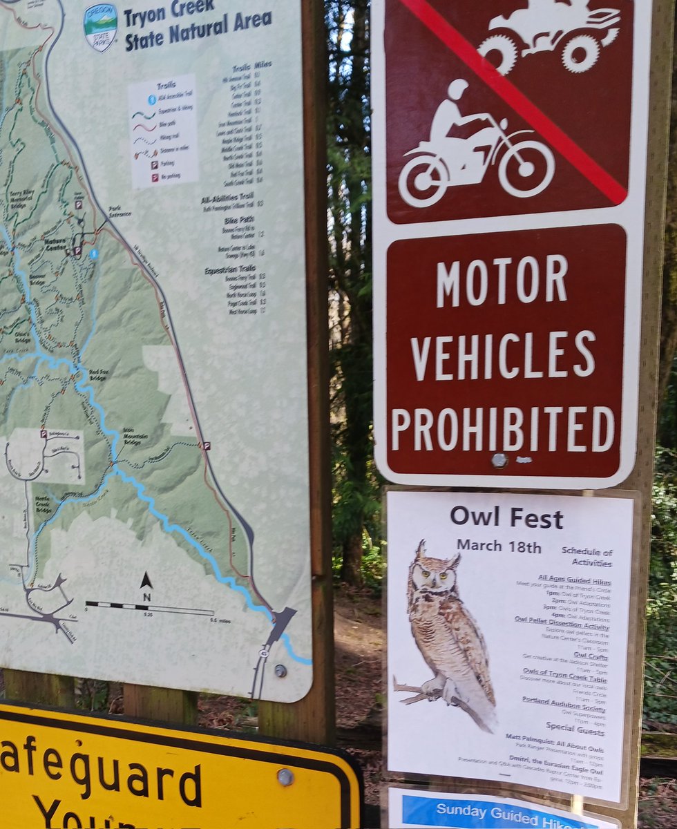 Hereticalmist's tweet photo. happy owl fest to those who celebrate https://t.co/8taCFpEu0e