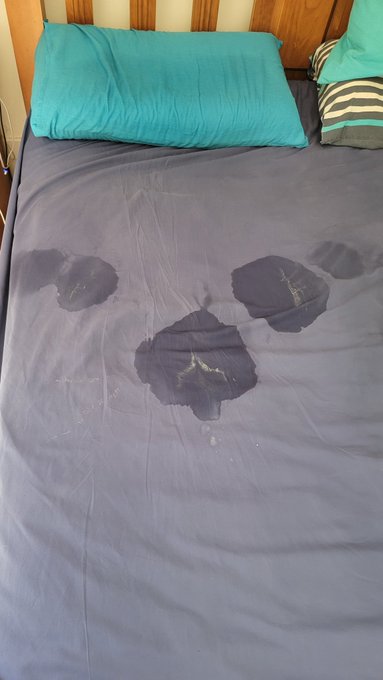 Well that is one way to start the morning... #wetpatch #MorningSeex https://t.co/ttt4Lpp6sW<a href="/tag/wetpatch"class="tags">#wetpatch</a><a href="/tag/morningseex"class="tags"><span>#morningseex</span></a>