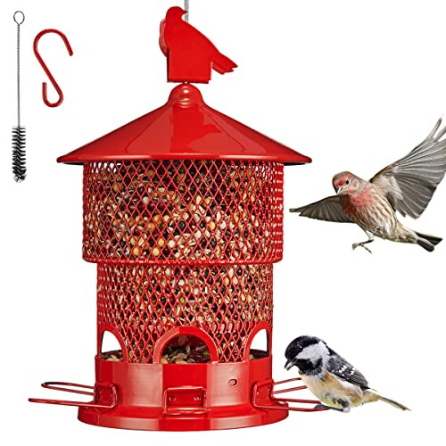 snagshout's tweet photo. $19.48 (49% off) when you apply promo code: 9FOOF6UB
Wild Bird Feeders Squirrel Proof - Upgraded Squirrel Buster Outd...
https://t.co/se5GbK16ni https://t.co/usHsNH7taK