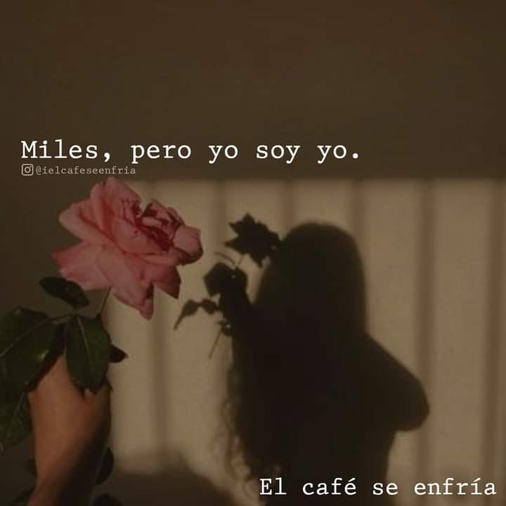 Linda noche