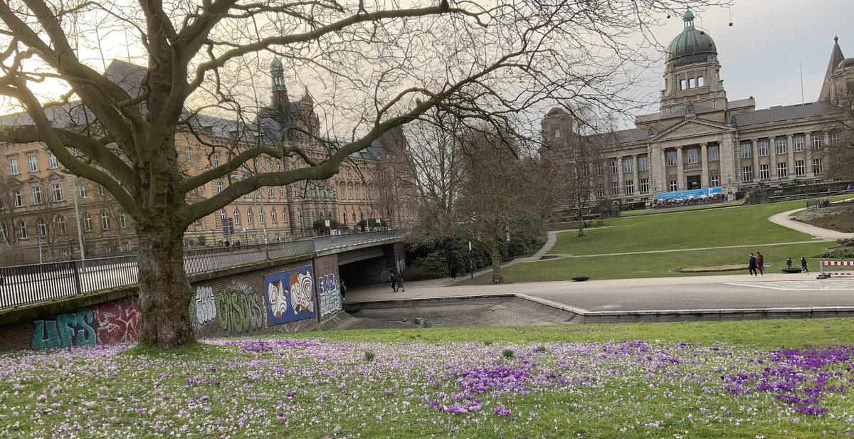 peac4love's tweet photo. 💐🍸🍷🎶🌈#hamburg today🌺💜🥀#crocuses💜☀🌄🎨🌳🌼#HappyWeekend Friends! ☮peace☮✨love💖✨ #NoWar!🌎🚴‍♀️🏕 https://t.co/0aJl2IZkKm