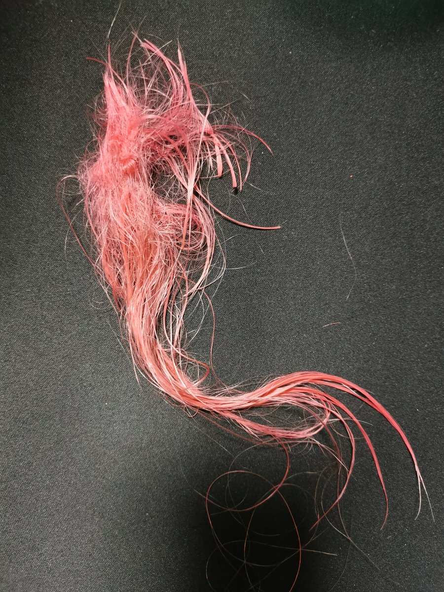 Vythica13's tweet image. That moment you have to admit the depressive episode was worse than you thought.... since you forgot to comb your hair for a week.... DREADLOCK CUTOUT 😂 #bipolar #dreadlock #goodthingIhavethickhair