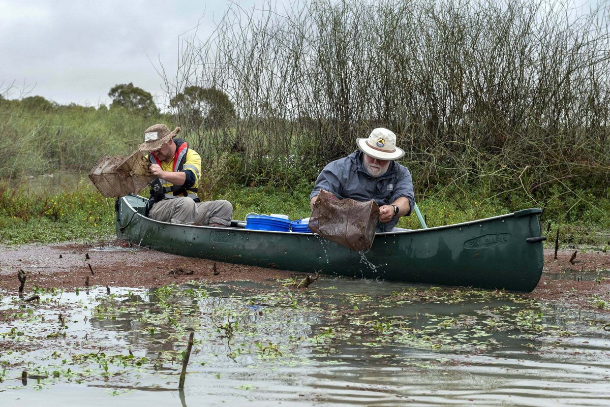 Finterest tweet media