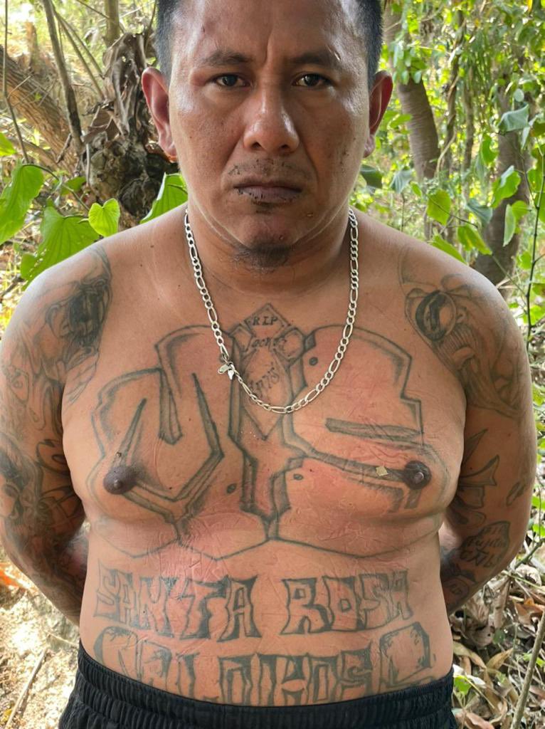 AnonimoSV503's tweet photo. Elementos de la Fuerza Armada capturaron en Santo Tomas a Jorge Vidal Morales Palacios, alias “Black” o “Trucha”, peligroso pandillero de la MS13, corredor de clica de la Santa Rosa Locos Salvatruchos y con orden de captura vigente desde el 2017 por extorsión agravada. https://t.co/5UCDhGmaSs