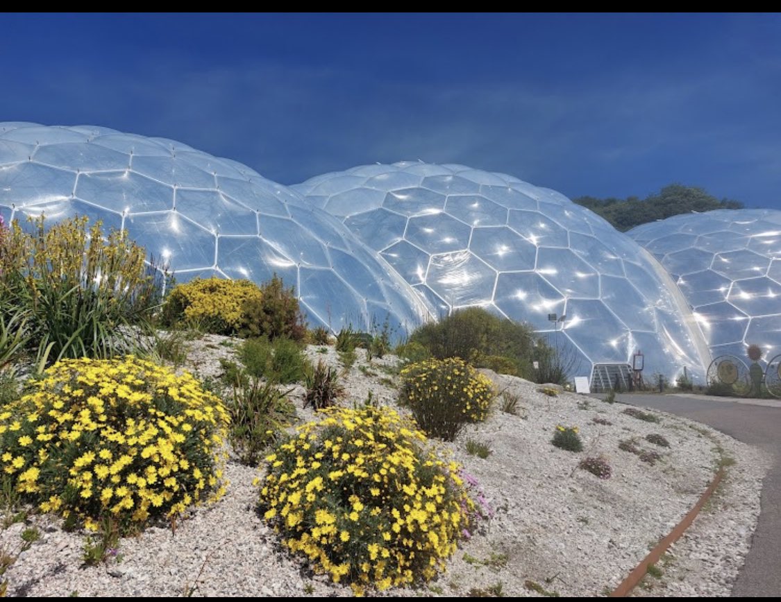 Robin Palm, AICP (BourbonPlanner@urbanists.social) tweet media