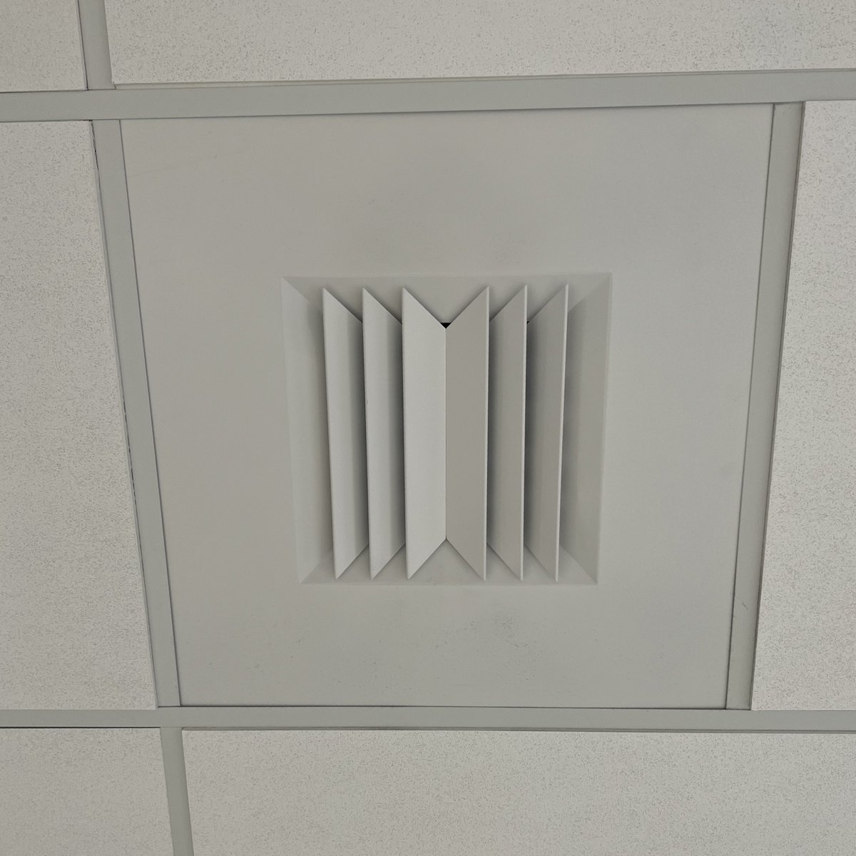 pockettangerine's tweet photo. everything reminds me of them https://t.co/juPd0iqs7l