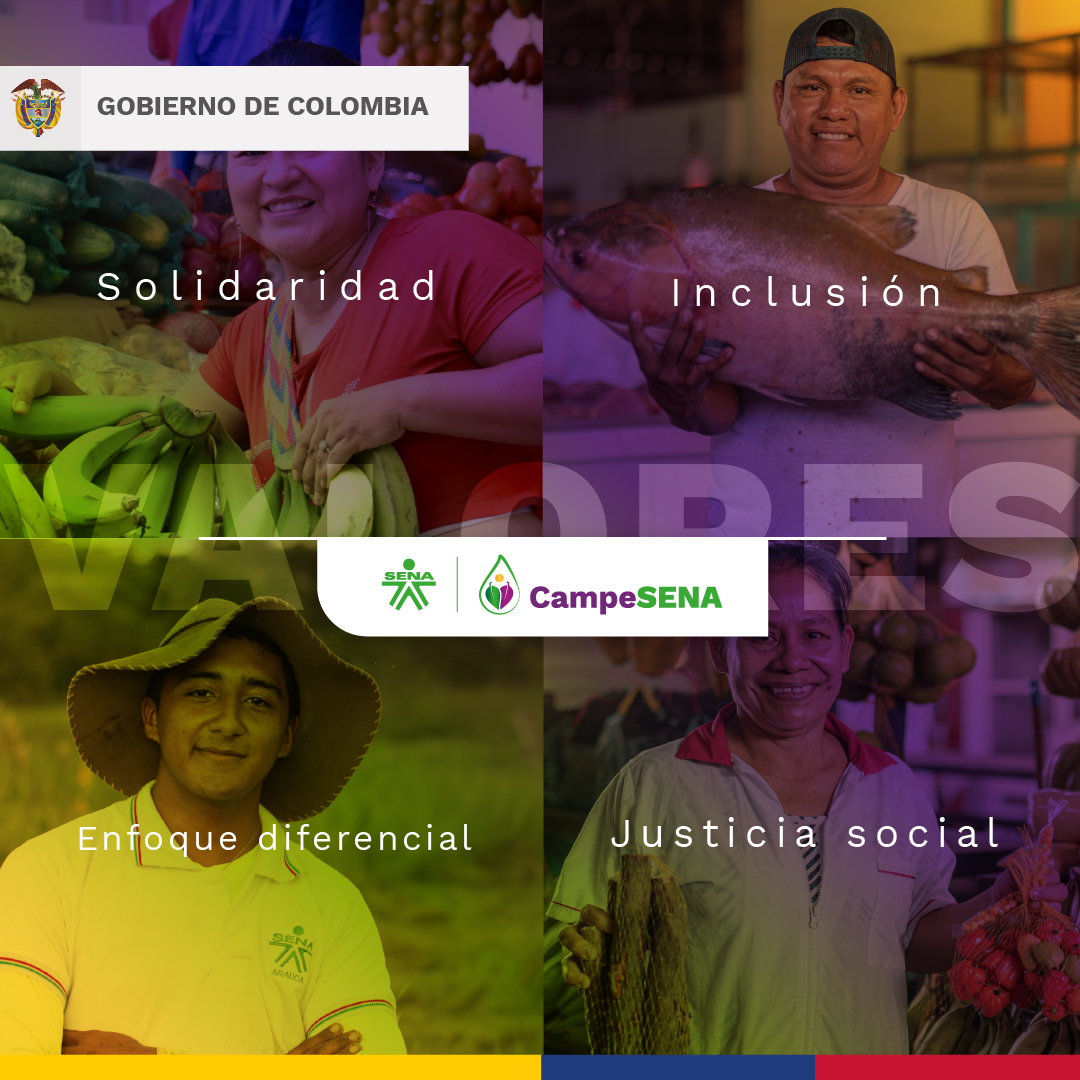 SENAenBolivar's tweet photo. Los campesinos 👨🏻‍🌾👩🏻‍🌾 han forjado la esencia del 🇨🇴 país. Son ejemplo de esfuerzo, conocimiento, tenacidad y nobleza👏🏻. #CampeSENA #JusticiaSocial https://t.co/WjwyMZ51FM