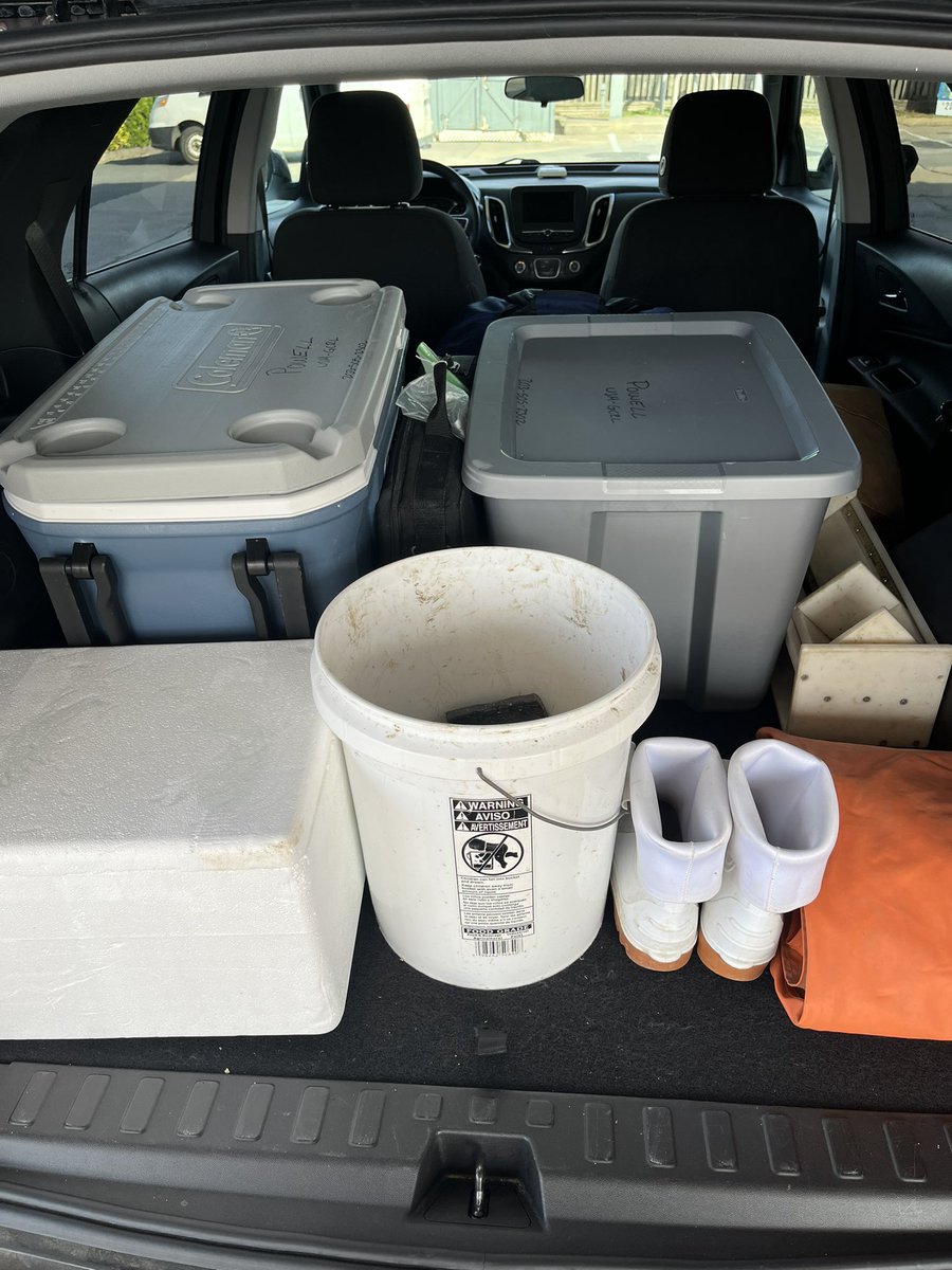 grateful_jk's tweet photo. First trip since deployment checking on my children went successful! I’m working with Cape May Salt Oyster farms to compare performance of various triploid oyster lines in the farm’s patent tidal-rotating subtidal gear! However, NJ oyster farm also means driving all gear from MS! https://t.co/KVLiYdgMKI