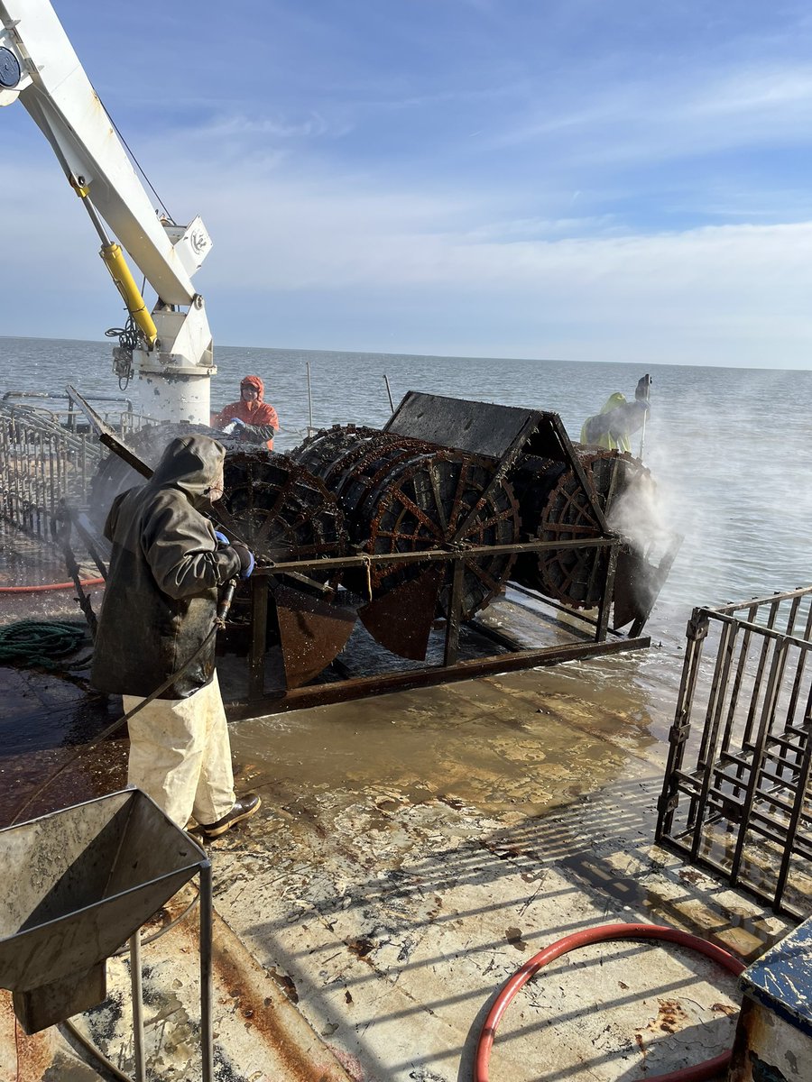 grateful_jk's tweet photo. First trip since deployment checking on my children went successful! I’m working with Cape May Salt Oyster farms to compare performance of various triploid oyster lines in the farm’s patent tidal-rotating subtidal gear! However, NJ oyster farm also means driving all gear from MS! https://t.co/KVLiYdgMKI