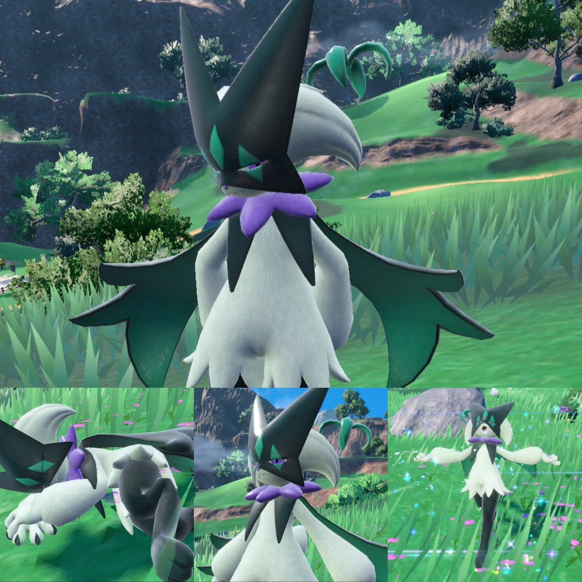 Flaaffity's tweet photo. Meow into dreams
(Knights into dreams)
#meowscarada #shinymeowscarada #PokemonScarletViolet #ShinyPokemon https://t.co/QzE8fXYZvk