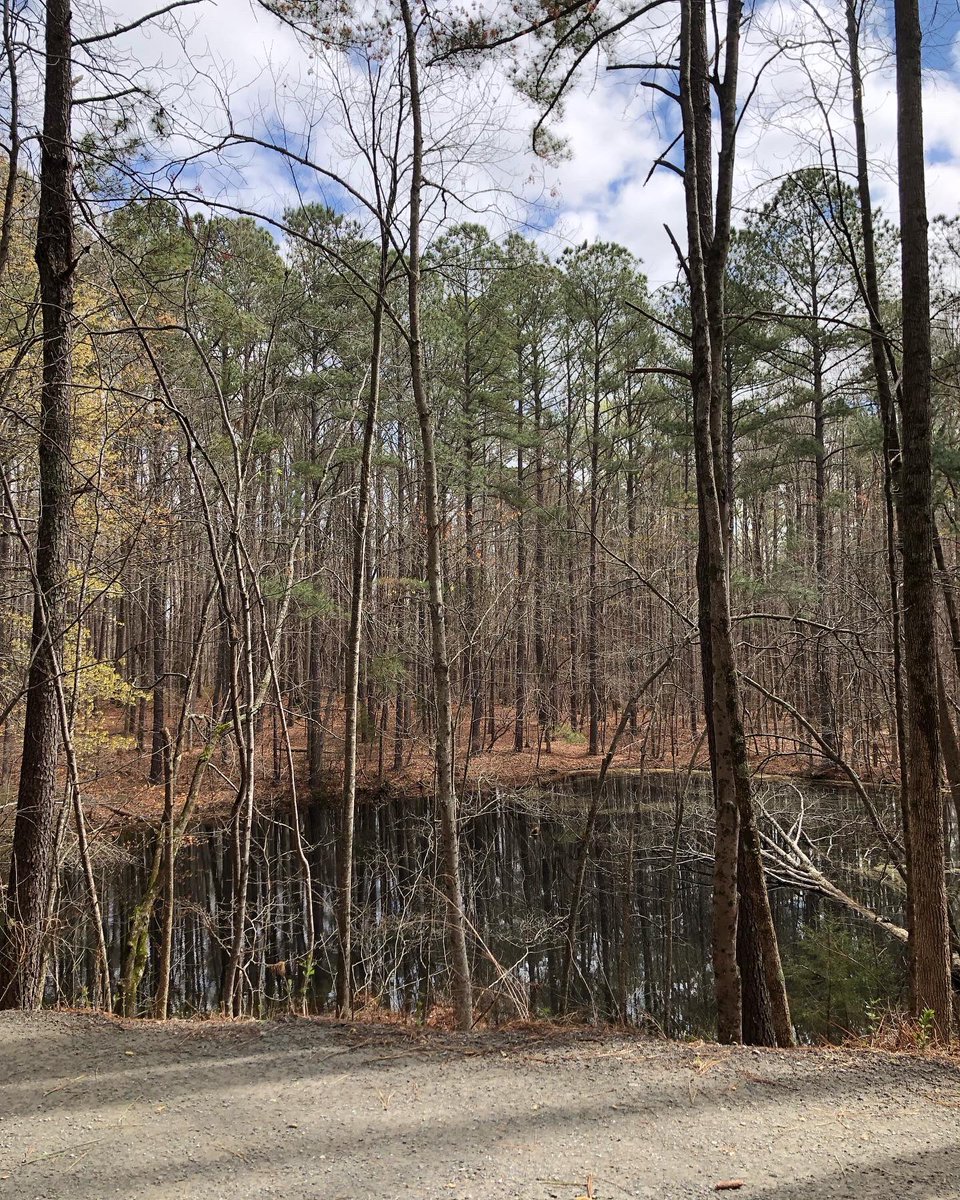 PurePeninsula's tweet photo. All aboard for the @TR_Marathon! Tomorrow, @criles17 &amp; Trent Johnson will set off for their ninth &amp; third marathons, respectively, with @jgirb13 selflessly providing on-course support.

Mid 30s, no rain, &amp; no wind is a dream, especially on this beaut of a course. Send good vibes! https://t.co/1zt0m0Ej5j
