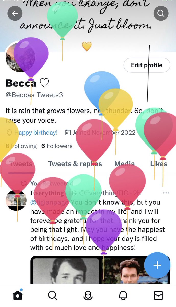 Beccas_Tweets3's tweet photo. Ahh! I love seeing Twitter balloons on my profile page. Happy Birthday to me! 🥳 🎉🎈 https://t.co/fng6ByLKg1