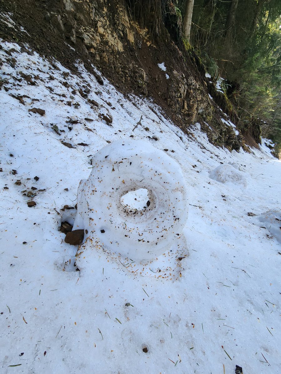BCWanderer1's tweet photo. @Tallwryginger @avalancheca @weathernetwork @GlobalBC Some of them made perfect donuts! 🍩 https://t.co/GD2c7GeyTR