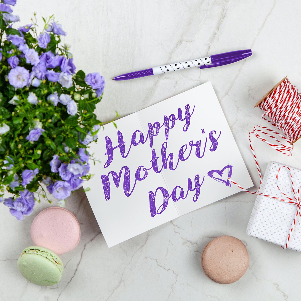 Lt Cdr Speedy Steedman Royal Navy tweet media