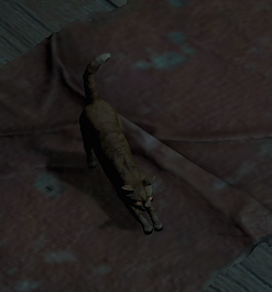 LethalLucidity's tweet photo. This is AMAZING, but did you also know that if you use the Hello emote next to the cat in Kyovashad that it'll do a beeg stretch, lay down, and roll over!? #DiabloIV https://t.co/QcYV4gj2dC