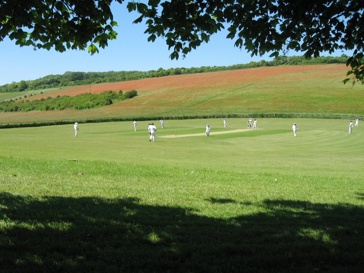 WG RumblePants tweet media