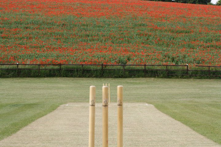 WG RumblePants tweet media