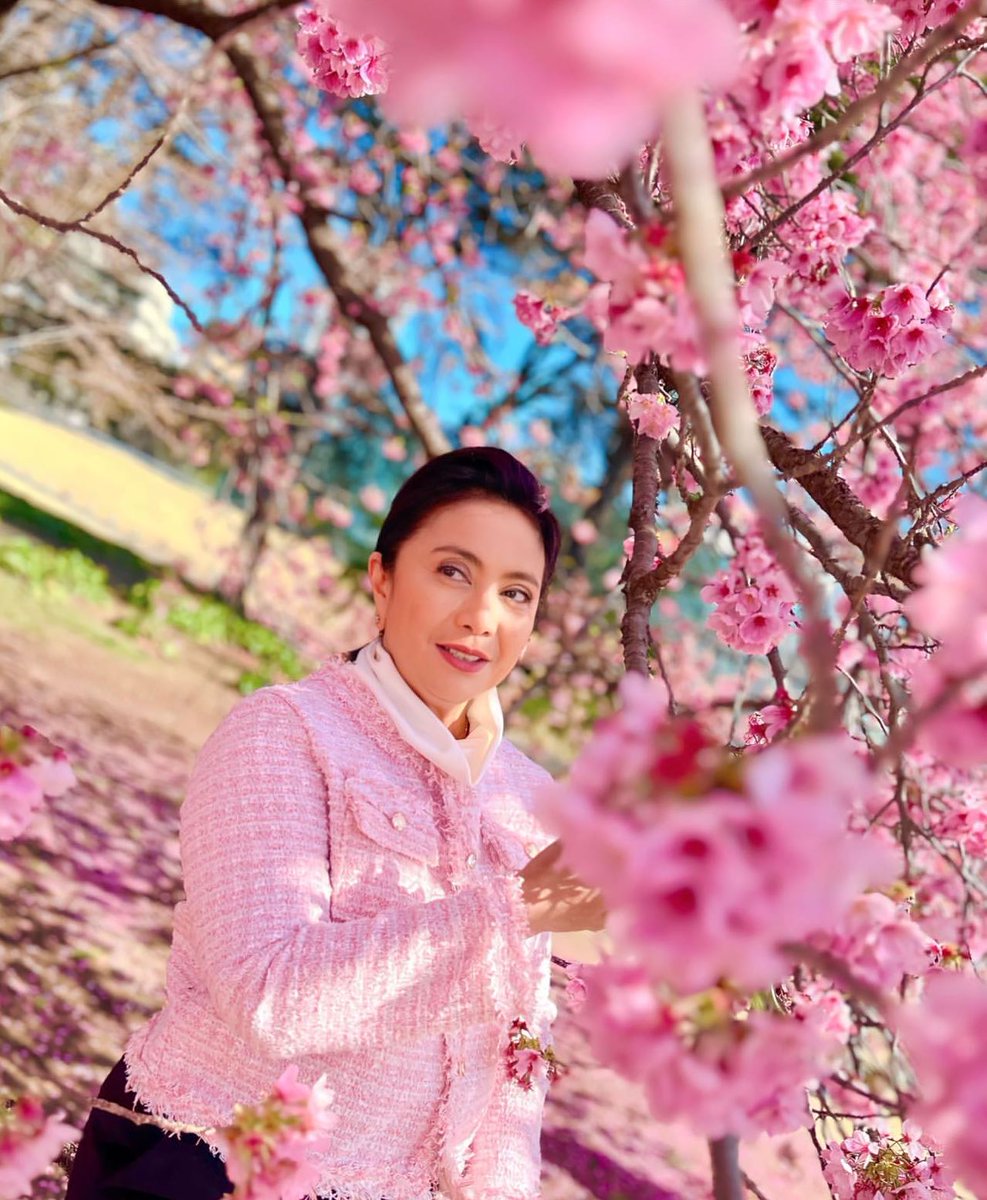 ‘IT’S SAKURA SEASON’ 🌸 LOOK: Former Vice President Leni Robredo savors the sight of cherry blossoms in Japan. | 📷: Robredo/Instagram Story