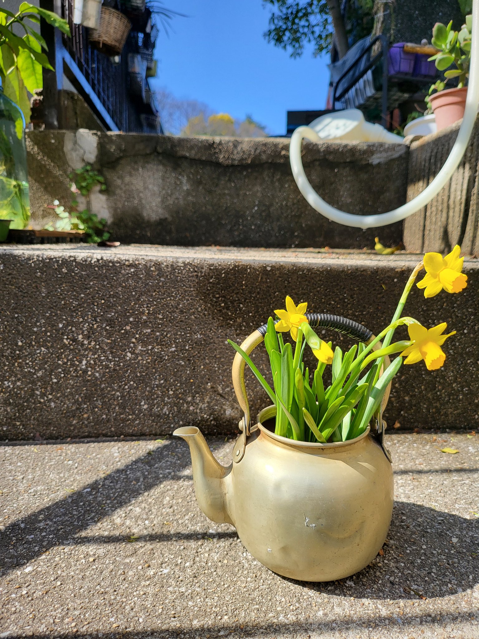 油絵ラッパ水仙を差した花瓶