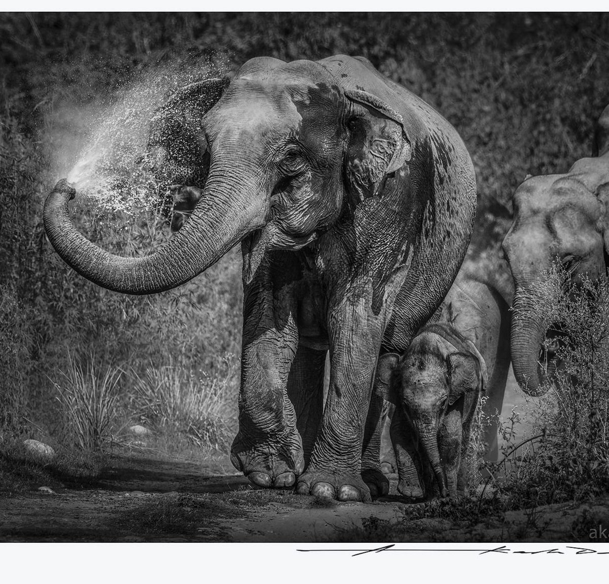 Akash Das tweet media