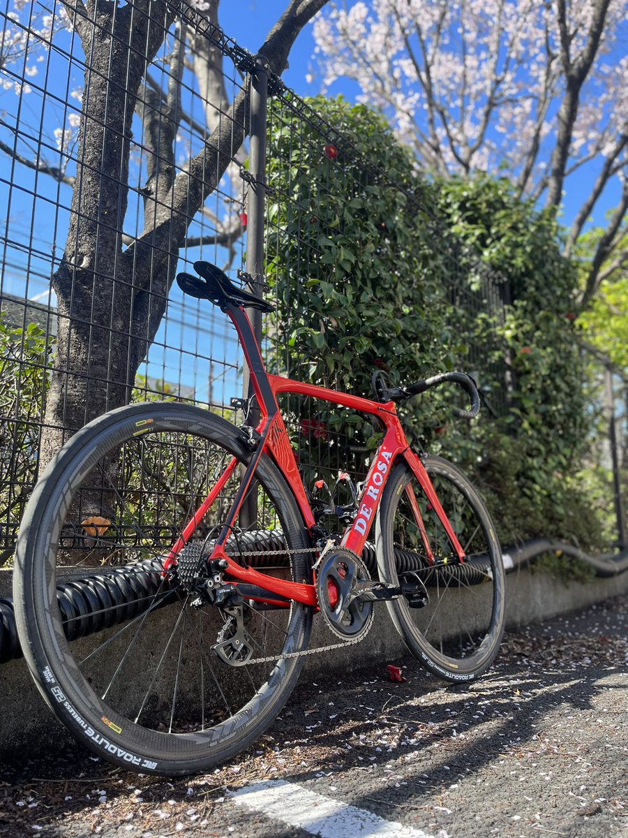 HAYATO88101101's tweet photo. 駒澤大学オープンキャンパス行ってきたら桜が綺麗だった
自転車部やってなかった😇
#derosask #derosa #デローザ #駒澤大学 https://t.co/67VsFhd5ja