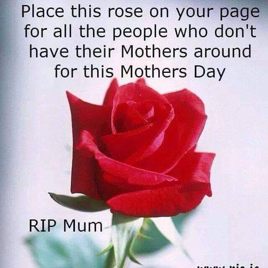 Richardtheseco2's tweet image. happy heavenly mothers day mam