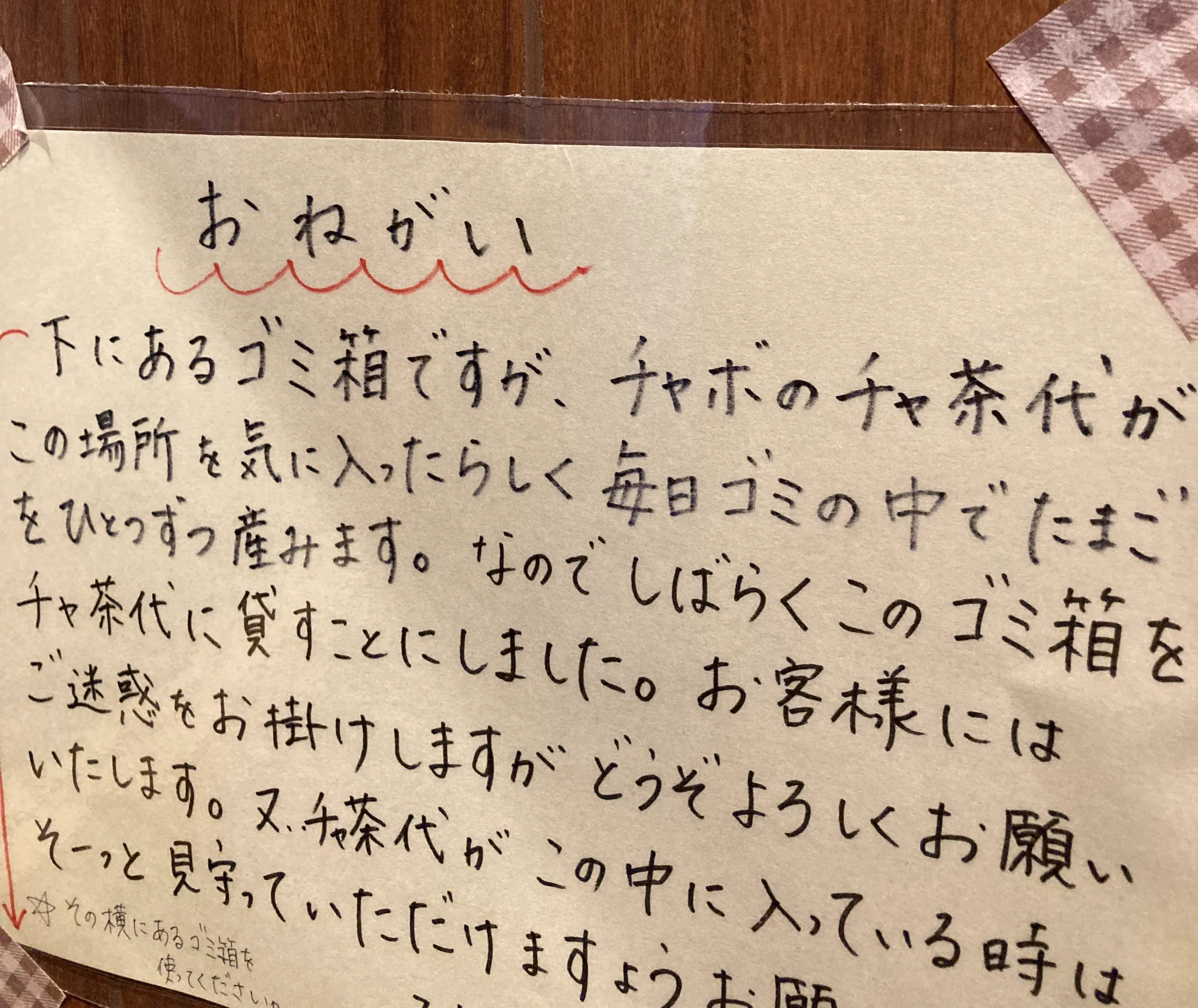 こんなことある！？ふとゴミを捨てようとゴミ箱を見ると、驚きの光景がｗｗ