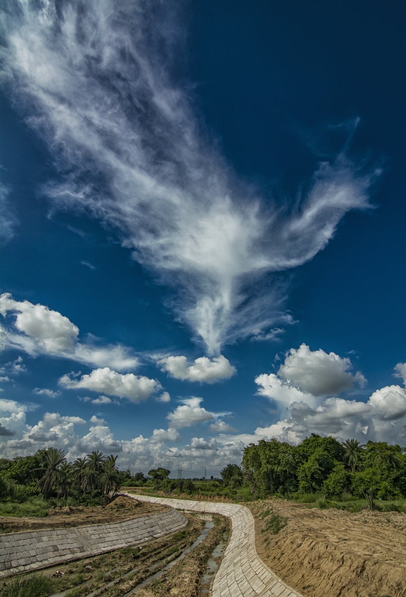 Arijit Mondal tweet media